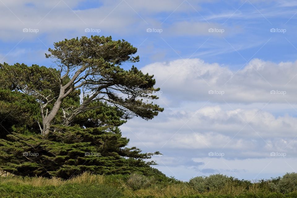 the coast of the island