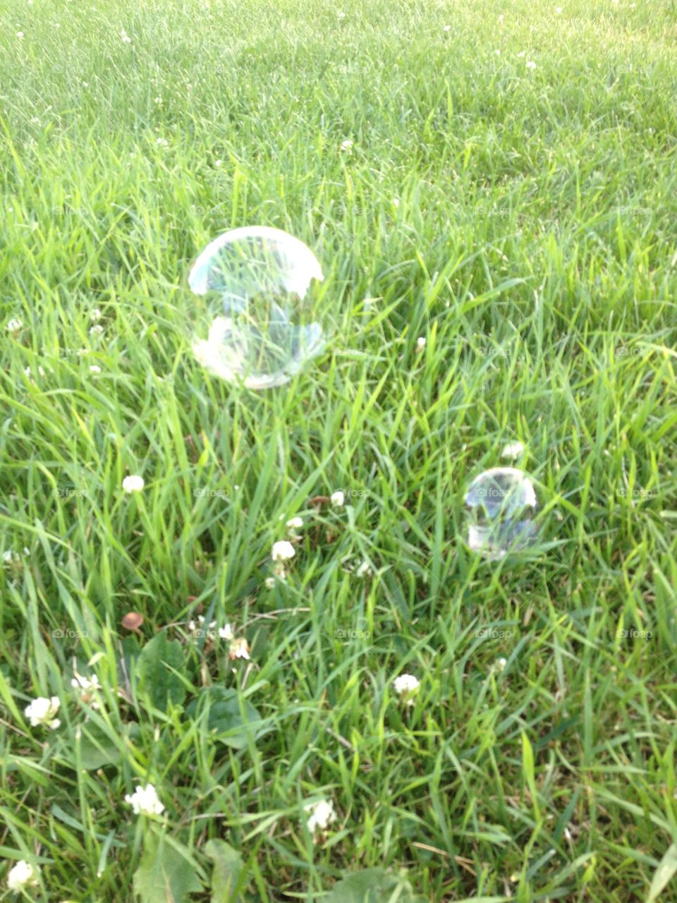 Summer bubble fun on the grass