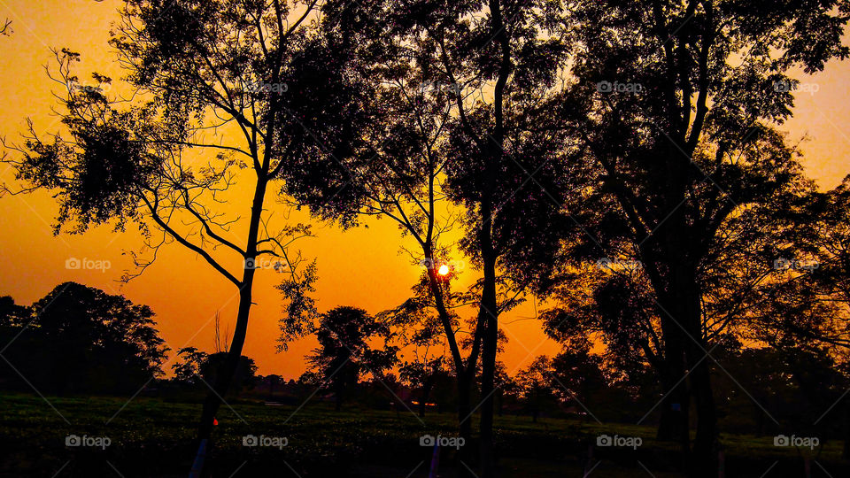Beautiful sunset of Assam
Beautiful Assam