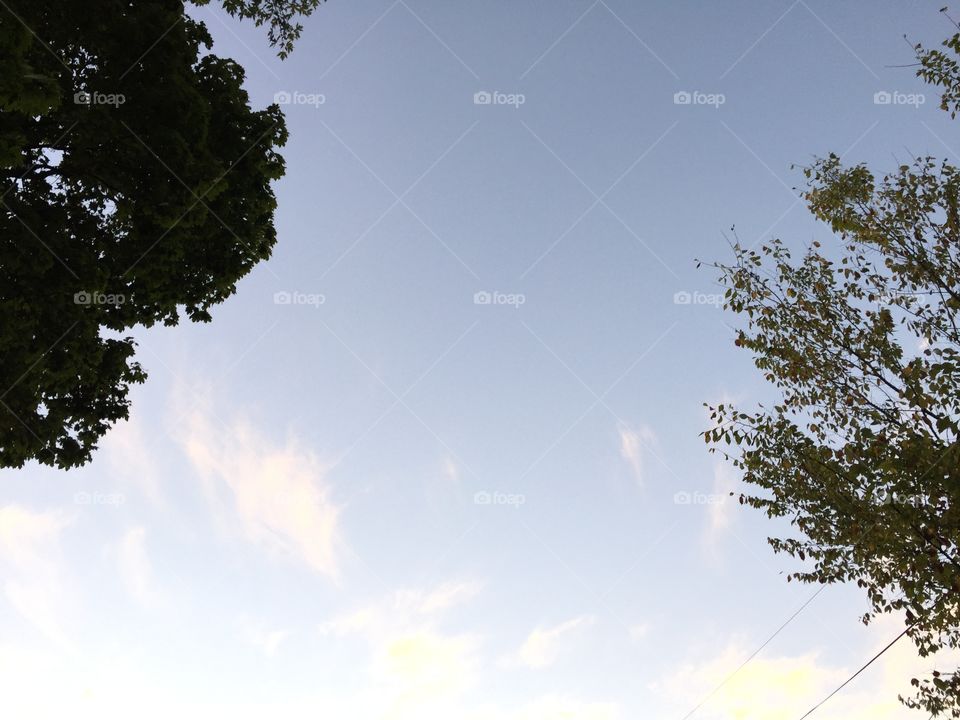 Nature, Tree, Sky, No Person, Landscape