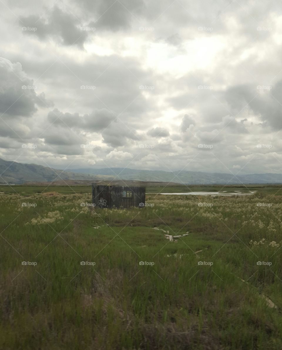 Outskirts of Alviso
on a train ride a view of the marshes and abandoned building