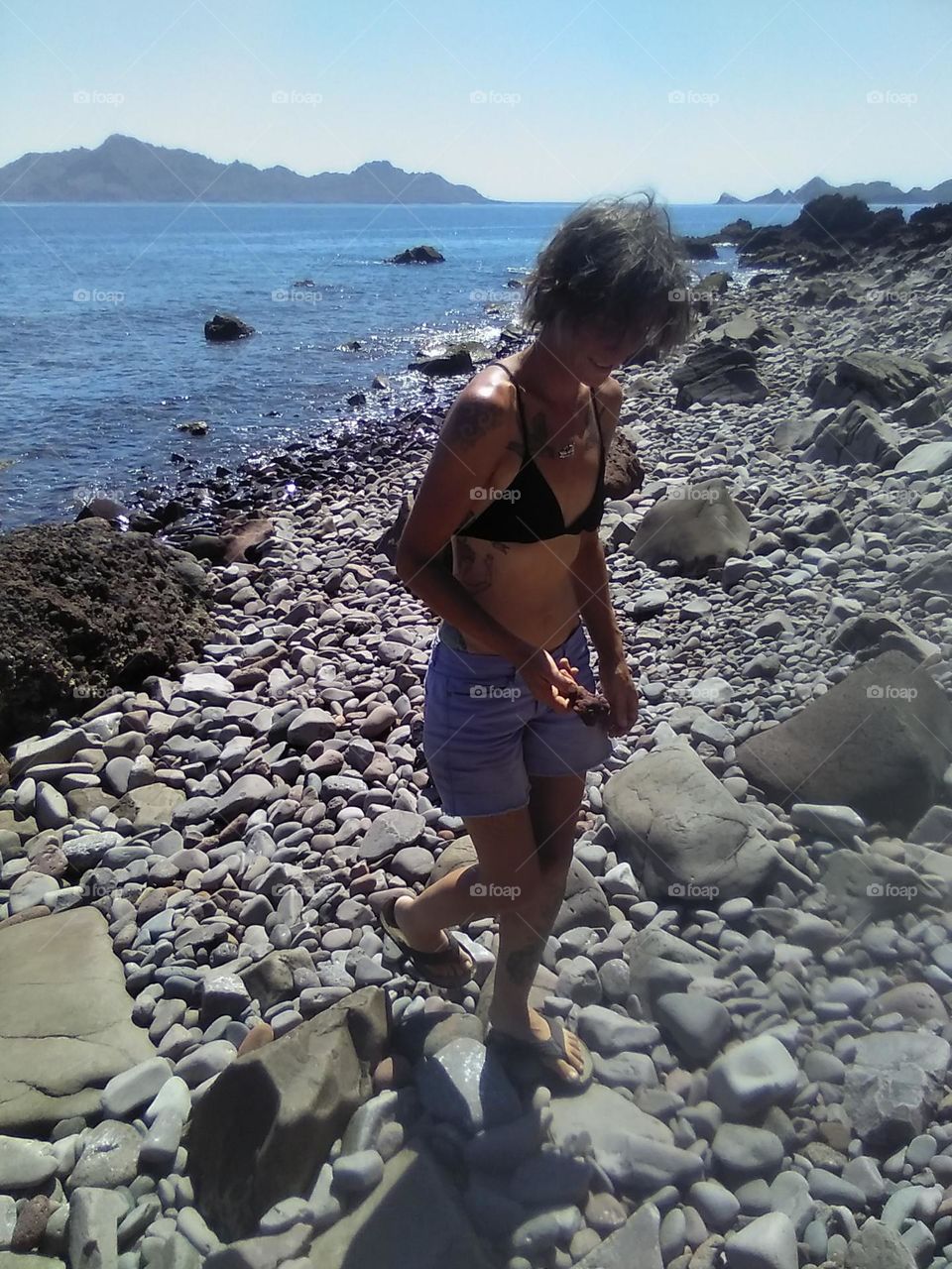 Rocky Shoreline On A Summer Day