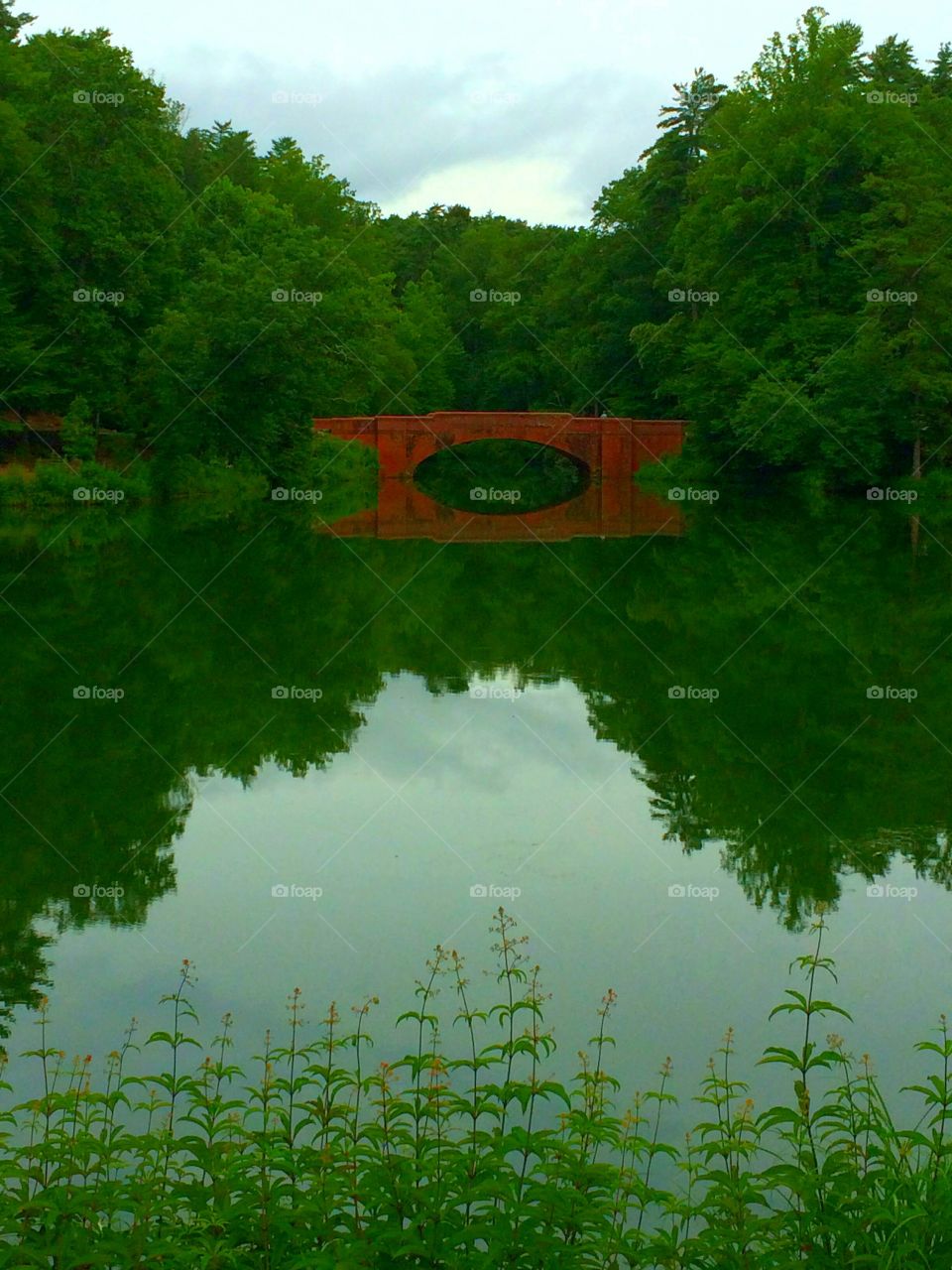 Reflection Bridge. Biltmore Estate grounds Asheville, NC