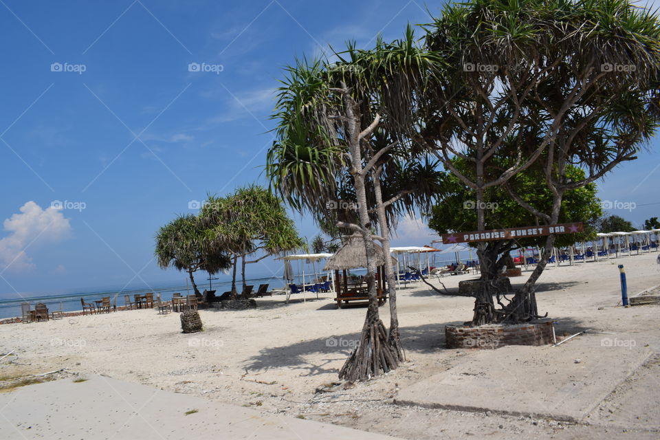 landscape at the beach
