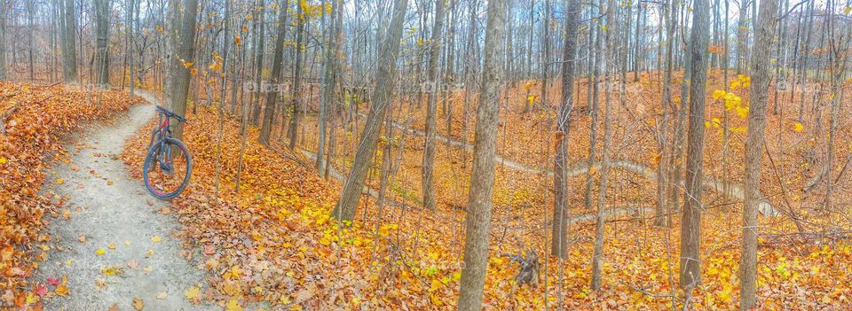 fall mountable bike trail