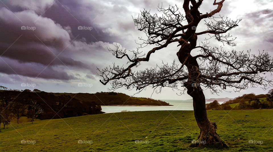 Landscapes Storm approaching