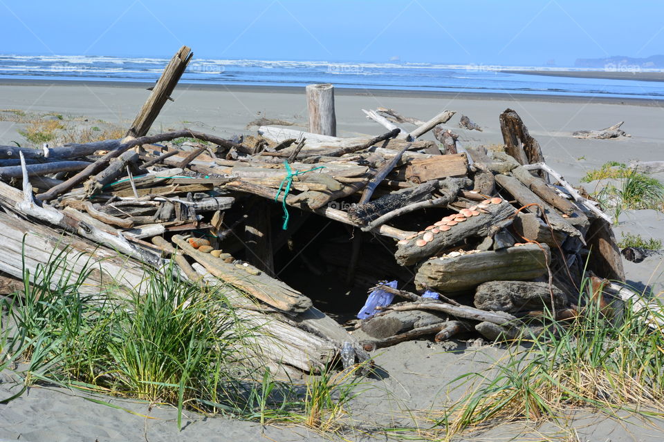 Rustic beach shelter 