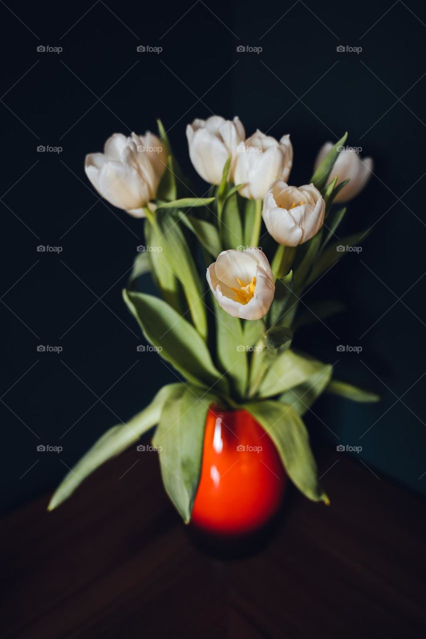 White tulips in a red vase