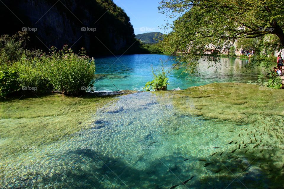Scenic view of Plitvice lakes national park