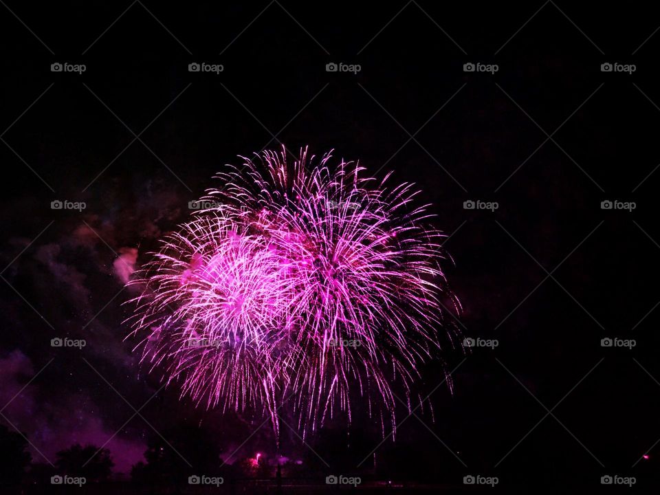 Magenta fireworks exploding.