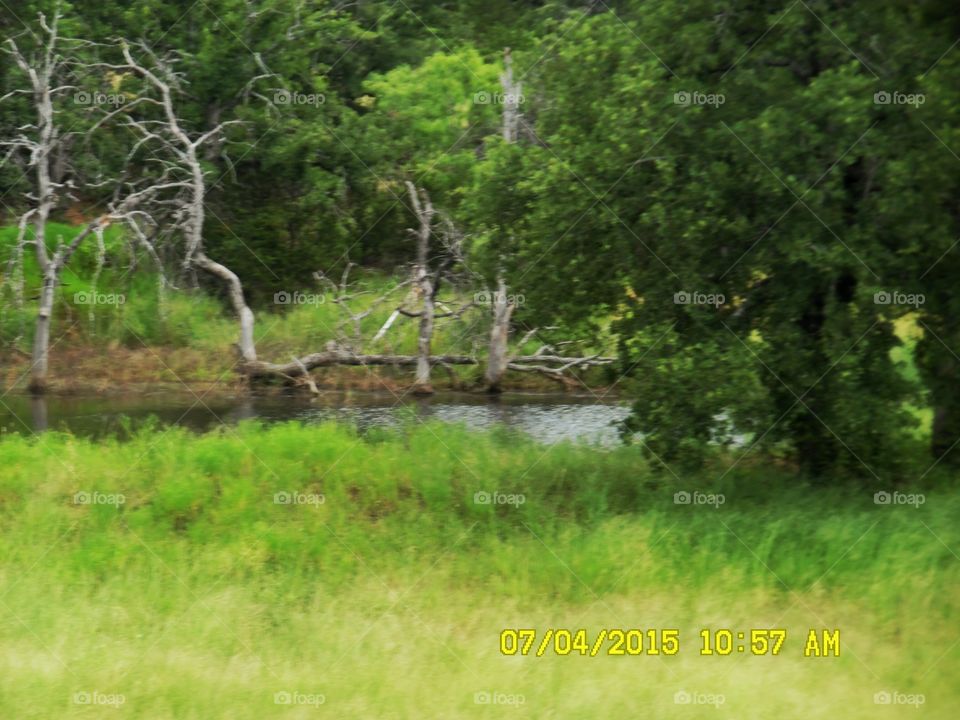 Texas pond water 💦. This is a picture of a pond that I discovered while out walking 🚶 🏃 🔥 💨 out in the country, near Graham Texas