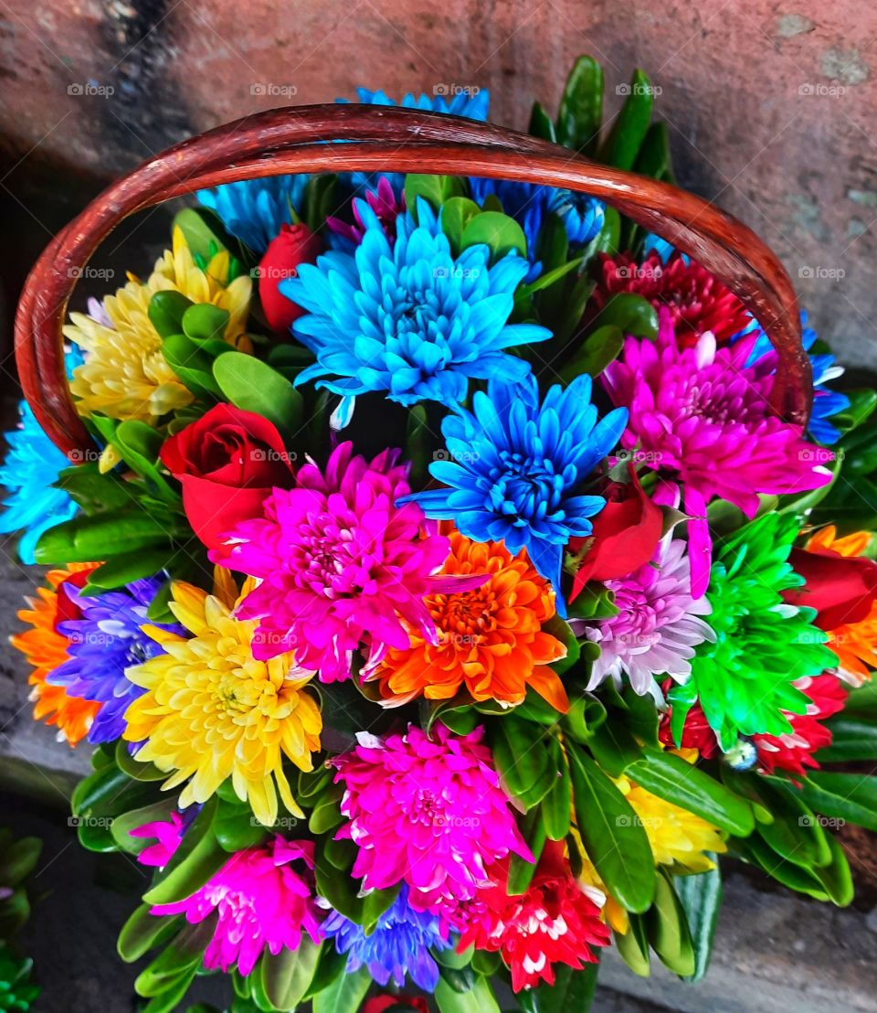 bouquet flower,flower,nature,reflection,landscape,summer,colorful,botany,spring,plant,blossom,floral,garden,petal,season,petal,decoration,pink,red,Orange,blue,yellow