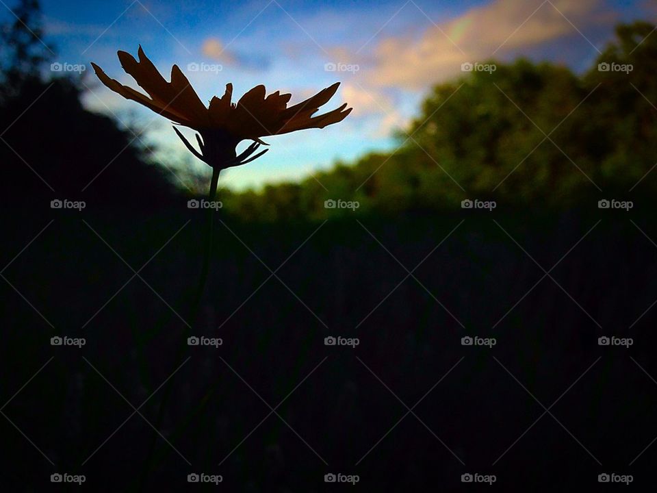 Summer eve in Oklahoma