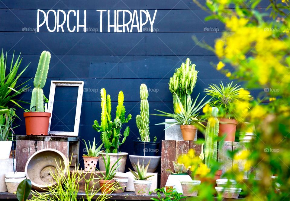 Plant market porch therapy