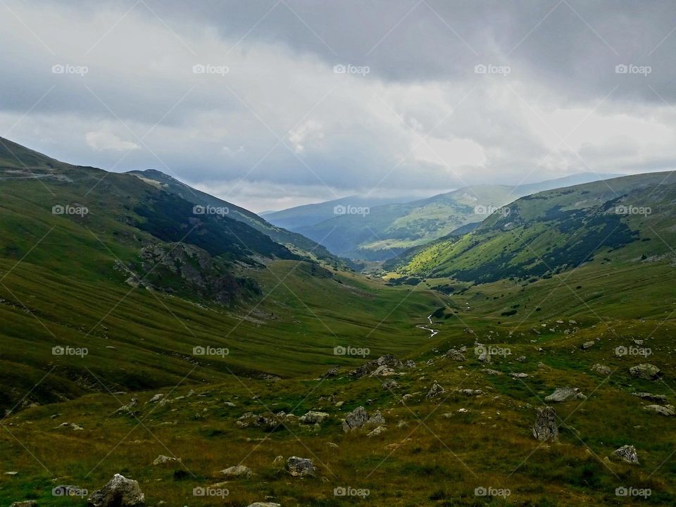 Transalpina