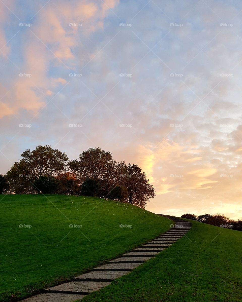 Sonnenuntergang Rheinaue Bonn