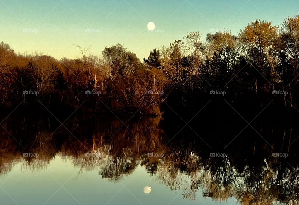 Autumn trees reflecting on lake