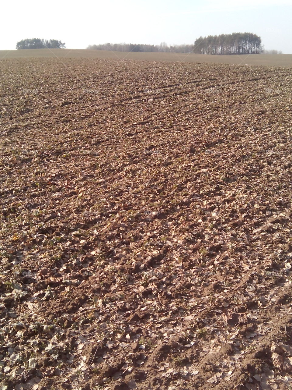 Soil, Desktop, No Person, Nature, Pattern