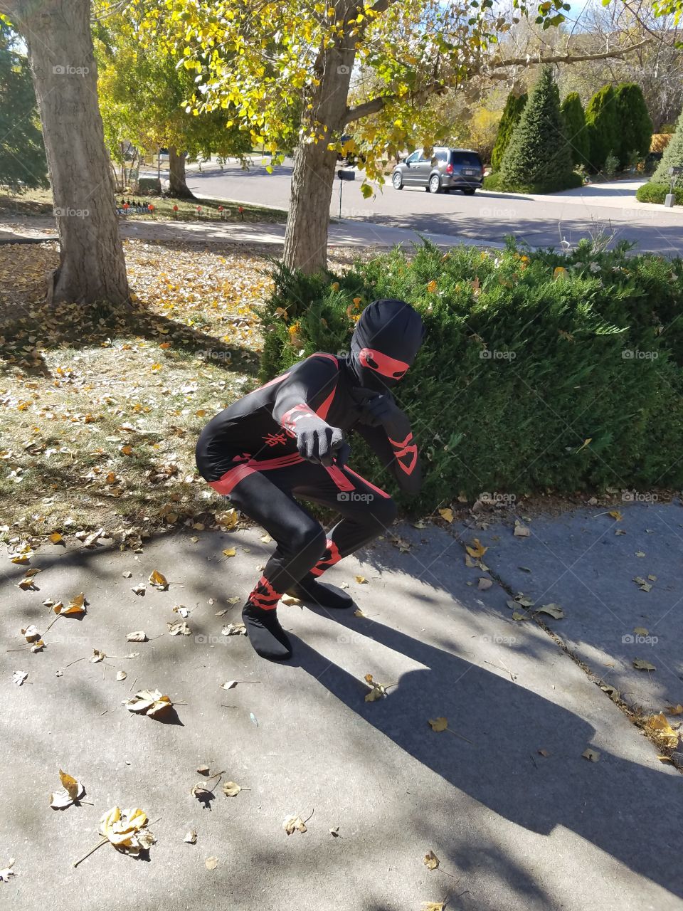 yard ninja