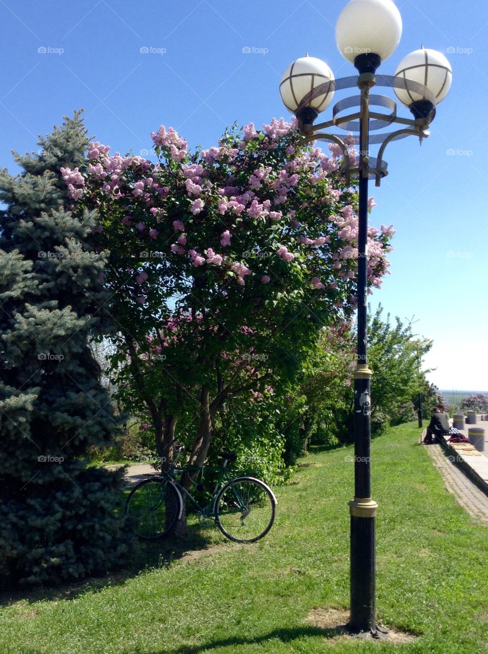 Bicycle in the park