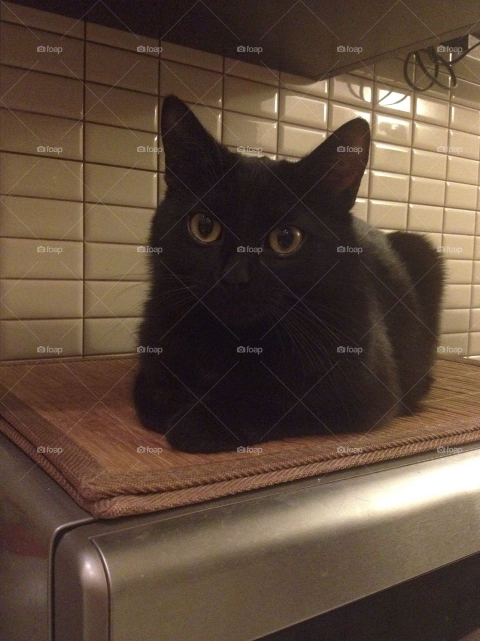 Black cat sitting on the microwave oven 