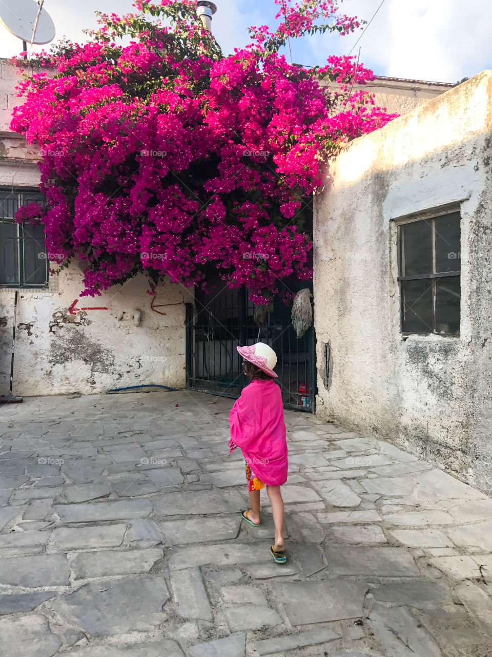 Little pink tourist