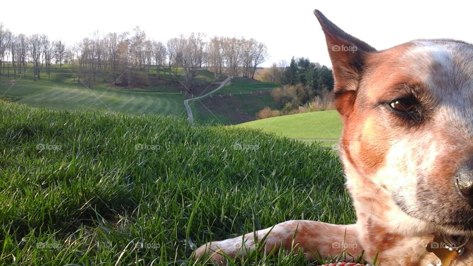 Sasha. hangin' out back