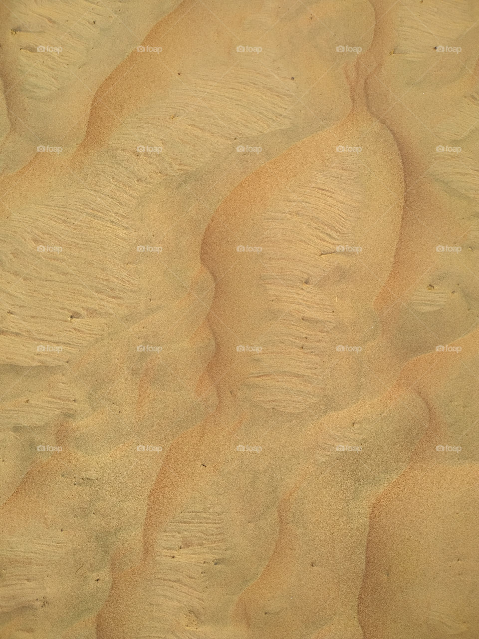 A closeup of sand dune texture