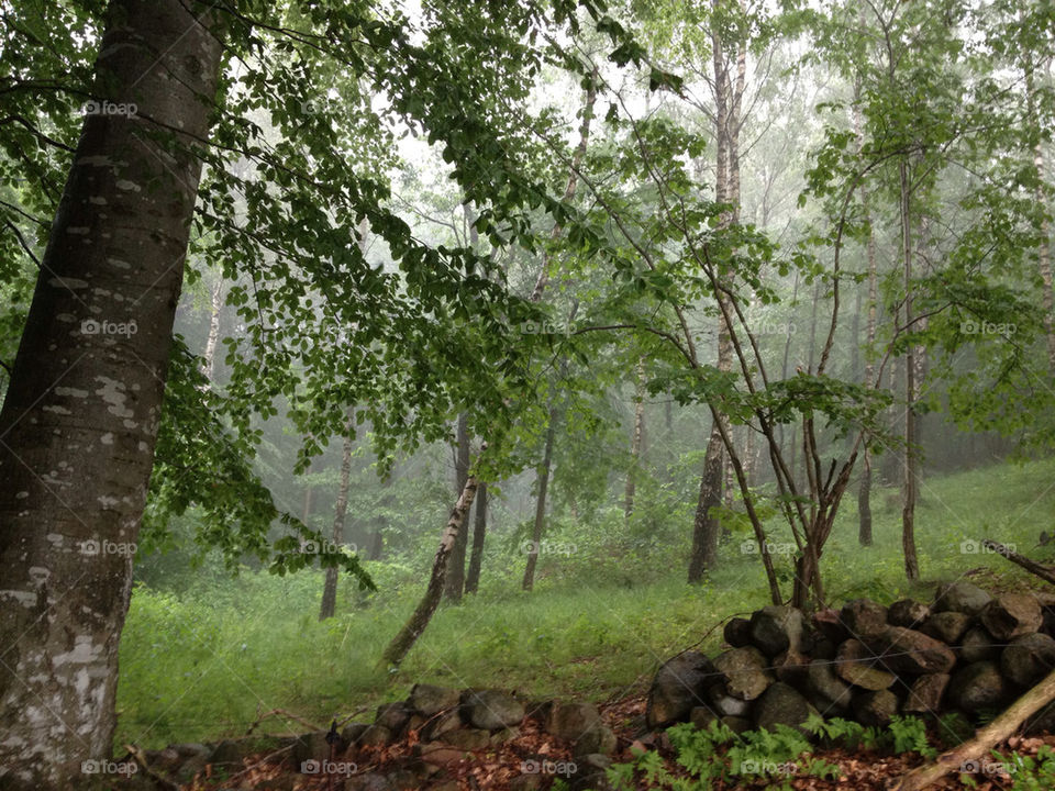 sommarskyfall by ebbaunlimited