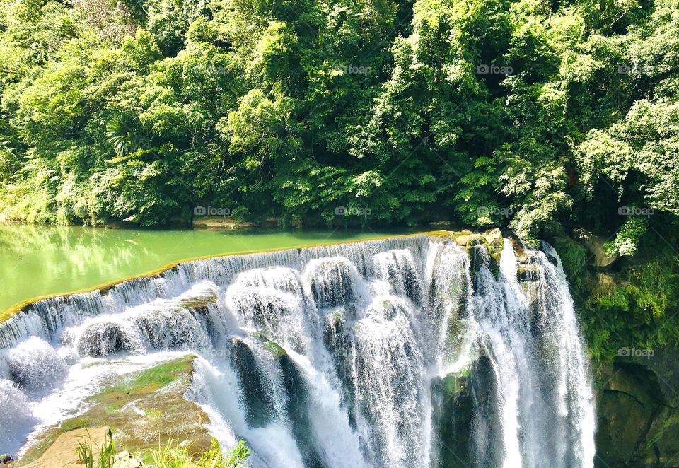 Green natures against the white falls