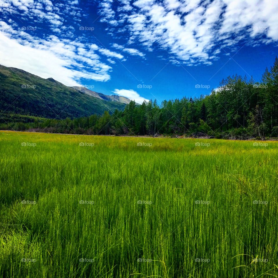 The view near Eklutna Lake