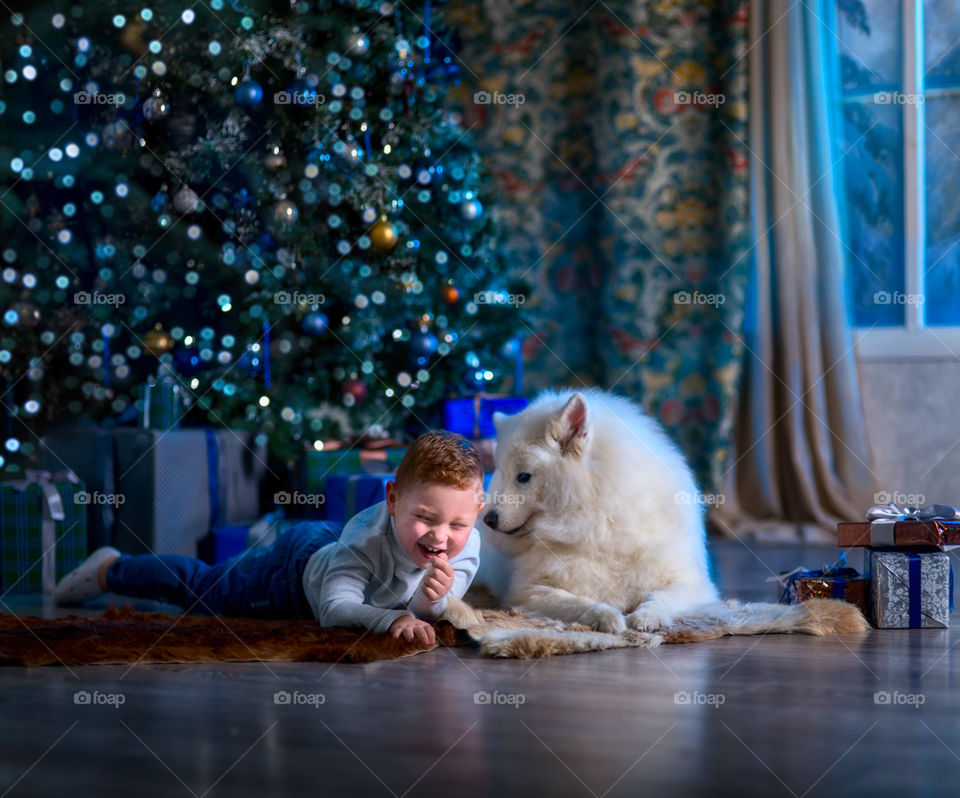 Little boy with Samoyed dog at Christmas Eve 