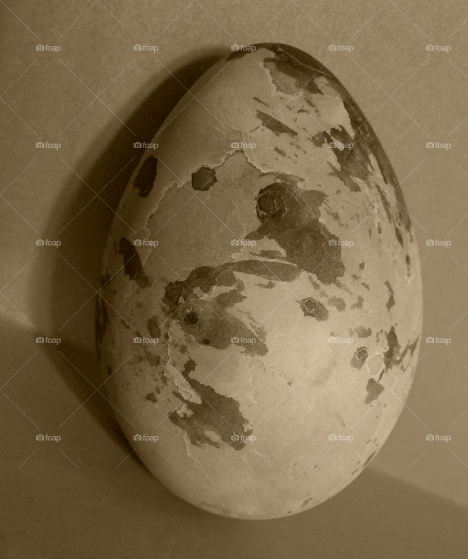 black and white Easter egg