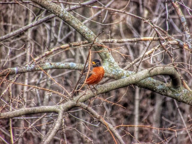 Sights of Spring