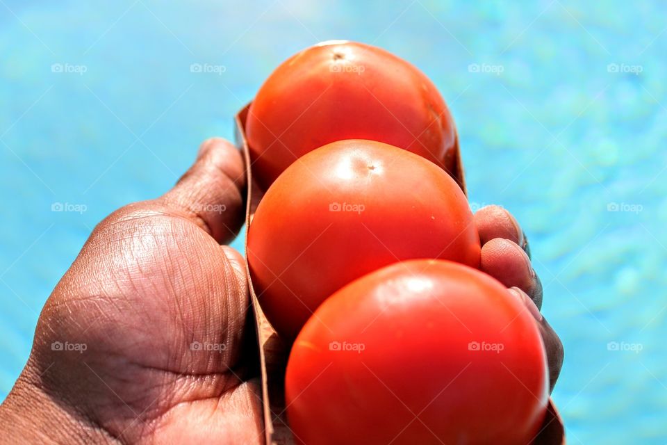 Hand holding tomatoes