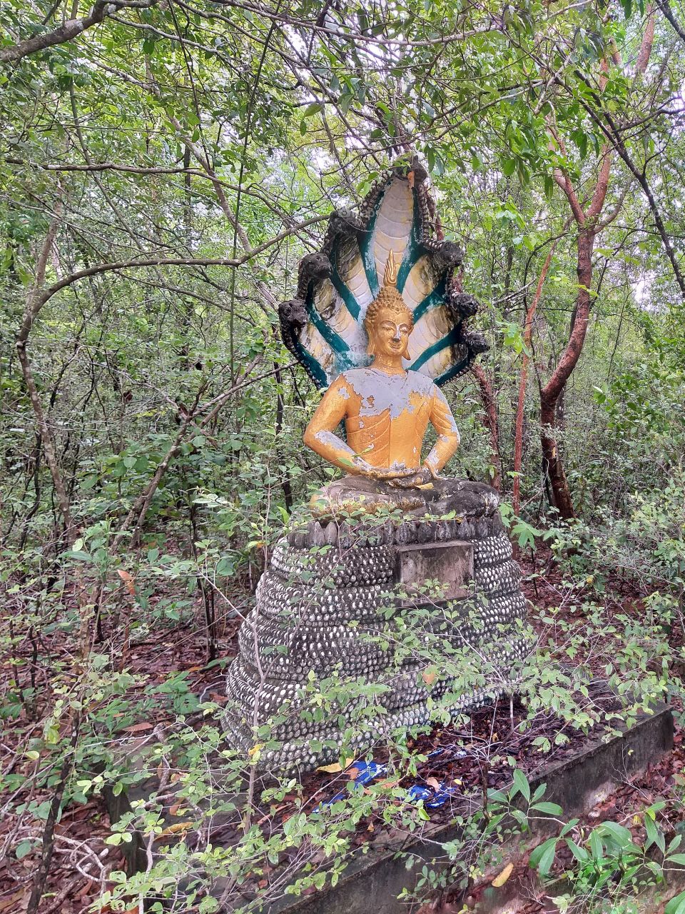 Buddha protected by the hood of the mythical serpent.