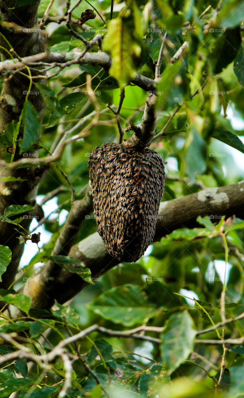 A story of workers who didn't even know why they are working #honeybee