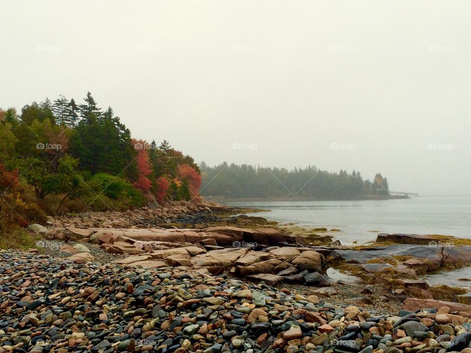 Acadia National Park, usa