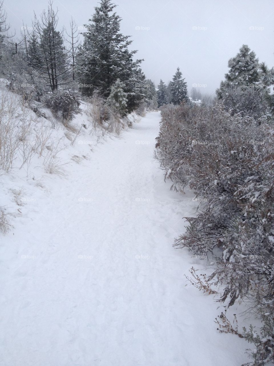 Beautiful scenic mountain trail! 