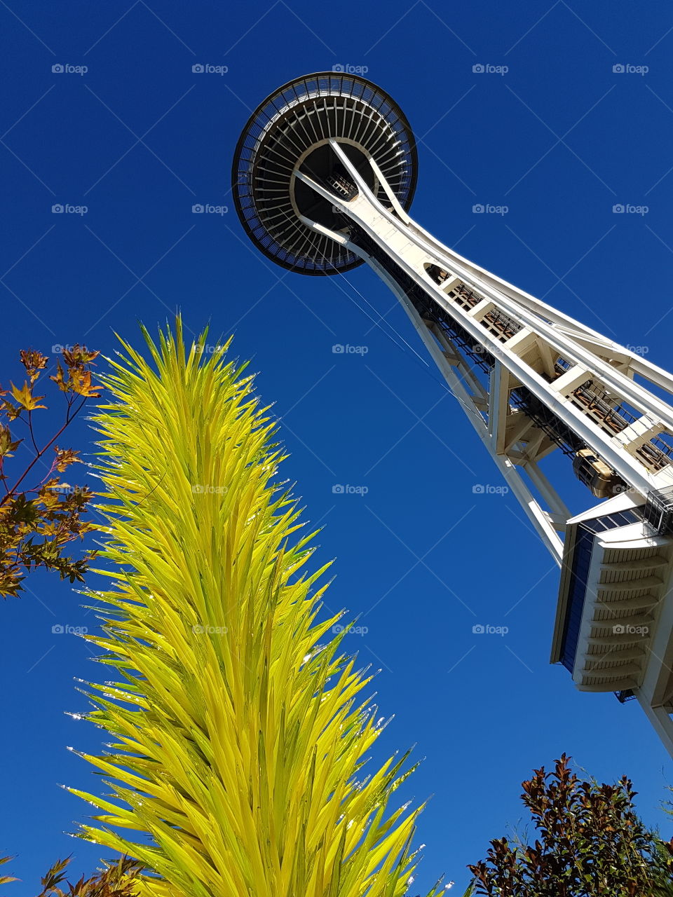Outdoor Glass Art by famous artist Dale Chihuly in the Seattle Chihuly Garden and Glass art museum with famous Space Needle in view