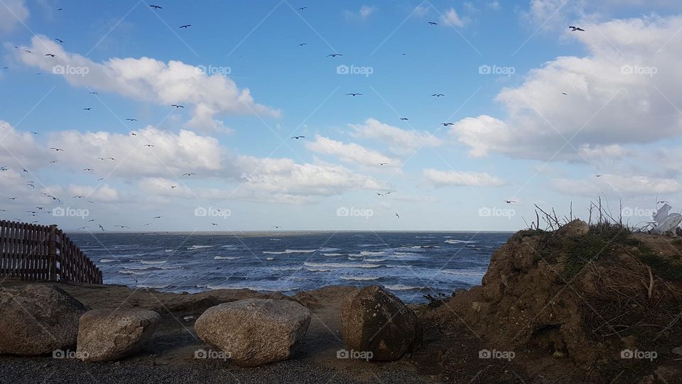 in ireland, view of a rocky beach with seagulls and birds flying soaring in the blue cloudy sky.