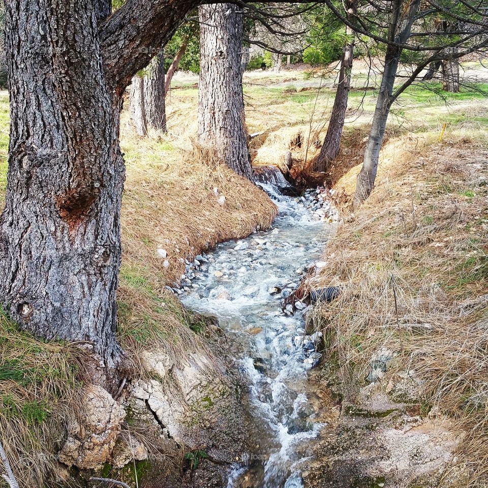 creek leaving pond on private property in Northern California