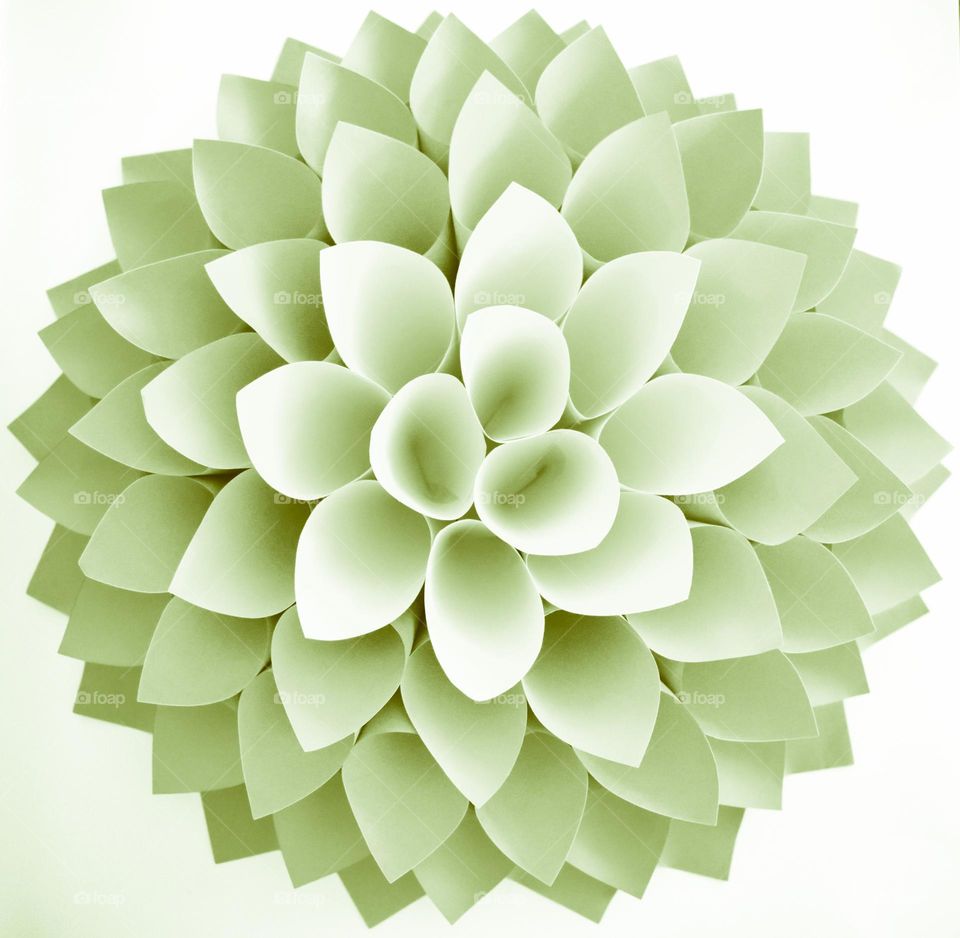 DIY table ,wall and background decorations for a party. Creative with your hands. Handmade crafts with pastels. Doing arts, crafts, hobby and hobbies at home. Creating paper flower flowers and paper dahlia flowers. Making paper wreath dahlia.