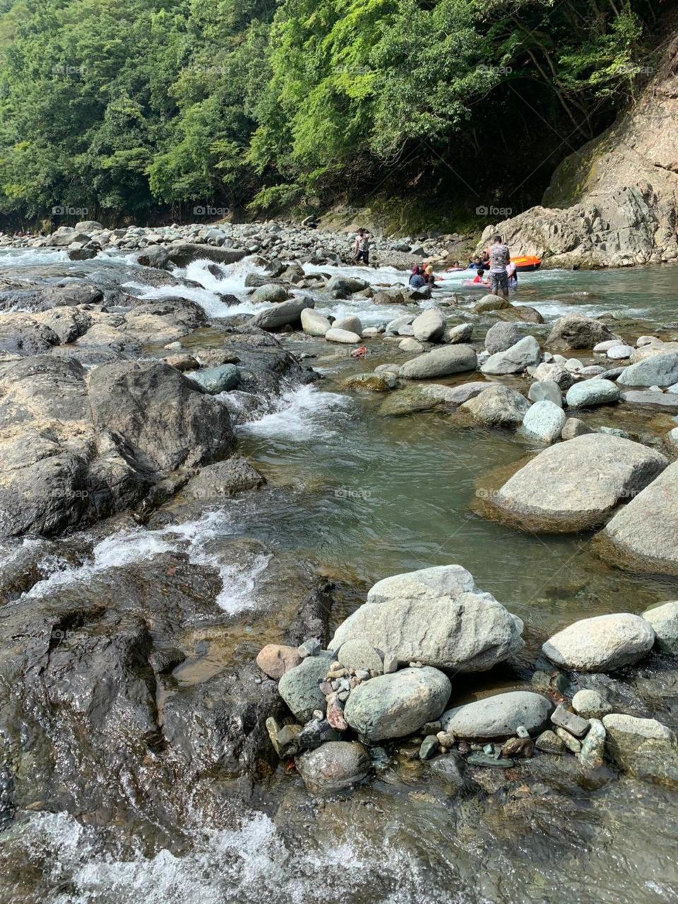 beautiful riverside view in a lovely day