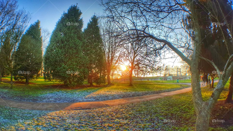 Walking around park in an icey morning.