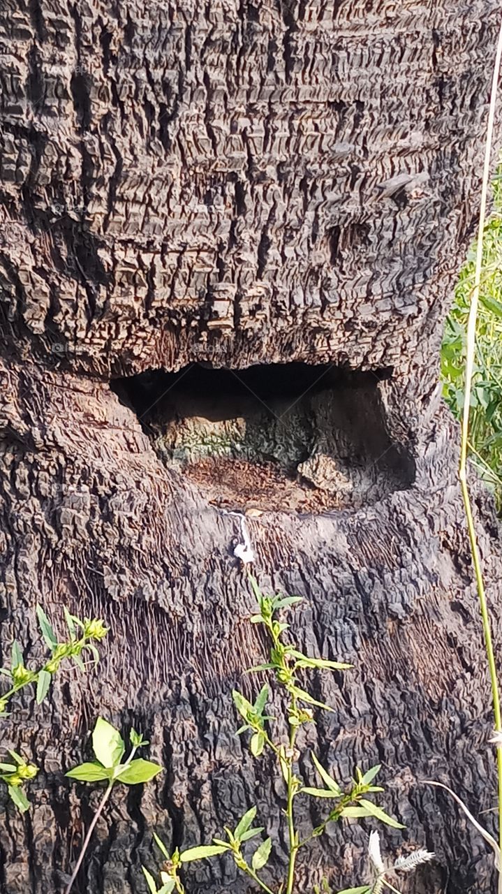 This is very very nature and beauty