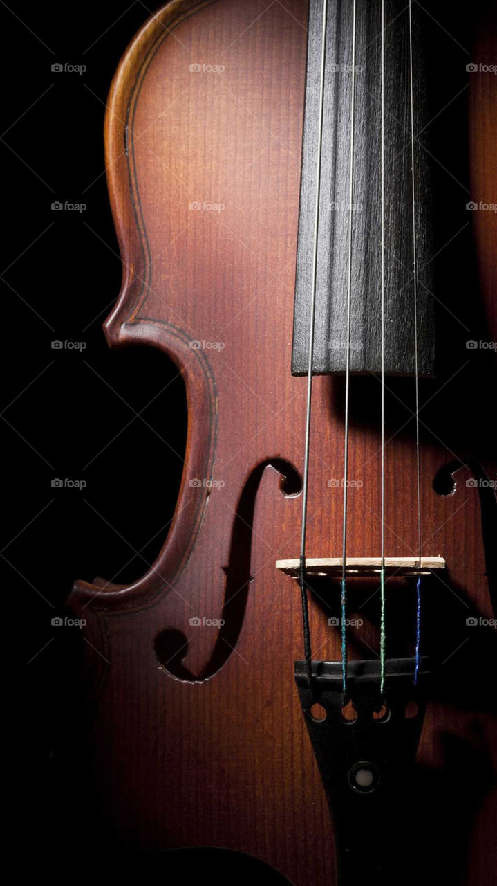 Wood, Classic, Bowed Stringed Instrument, Violin, Instrument