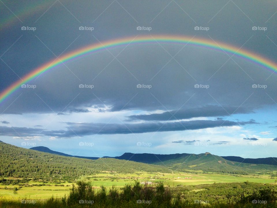 Rainbow in field