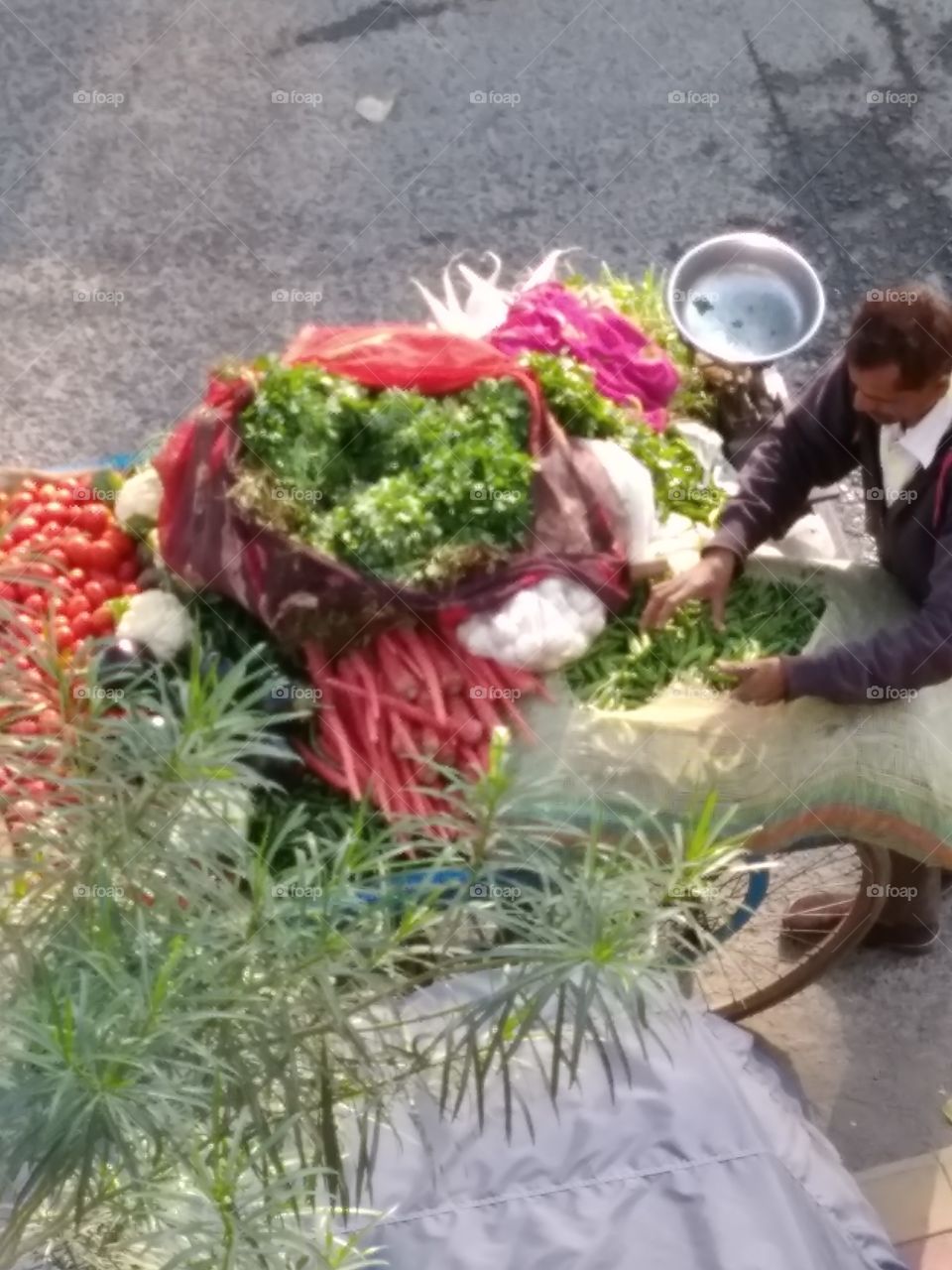 A GREEN GROCER ..selling his vegitable