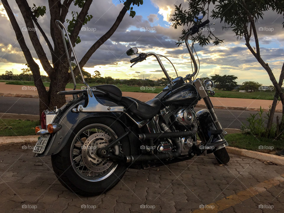 Harley Davidson Motorcycle - Black 